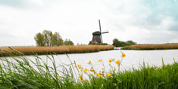 Friesland Holland Landschaft Windmühle