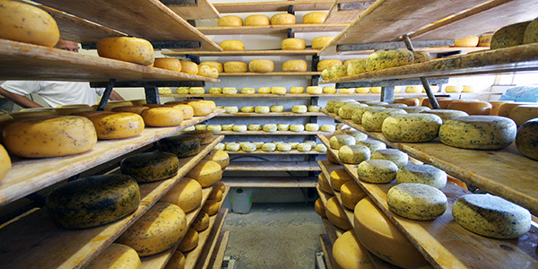 Gouda Käse Holland