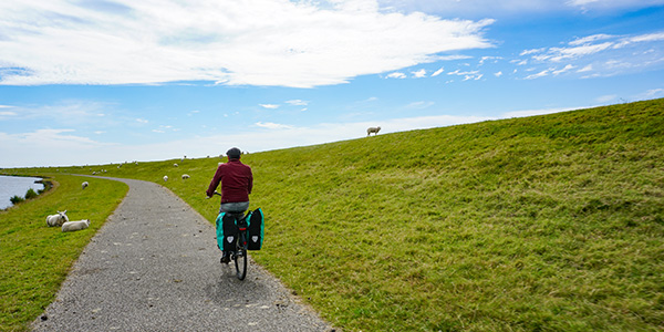 Friesland Holland Radfahrer Radweg