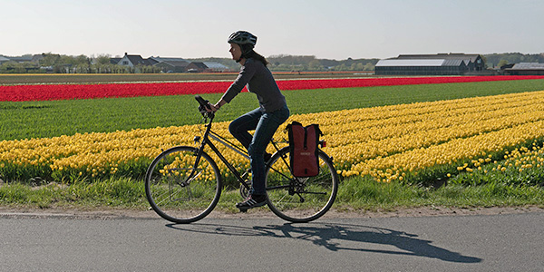.Tulpenblüte Fahrradtour Niederlande.